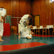 NID-5432_DSCN1662.JPG