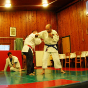 NID-5432_DSCN1665.JPG