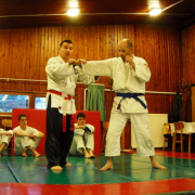 NID-5432_DSCN1671.JPG