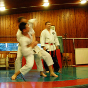 NID-5432_DSCN1678.JPG