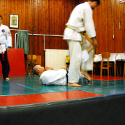 NID-5432_DSCN1680.JPG