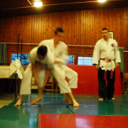 NID-5432_DSCN1681.JPG
