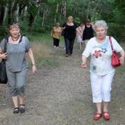 NID-6419_urihegyi_piknik130.JPG