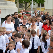 NID-6444_alsos_tanevzaro140.JPG