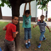 NID-6470_DSCF1244.JPG