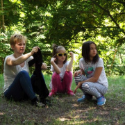NID-6470_DSCF1285.JPG