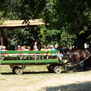NID-6470_DSCF1403.JPG