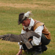 NID-6478_PYM_Ausztria_Horn15.JPG