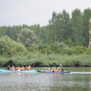 NID-6497_golyatabor209.JPG