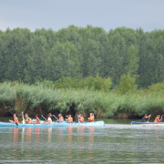 NID-6497_golyatabor213.JPG