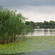 NID-6497_golyatabor217.JPG