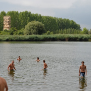 NID-6497_golyatabor267.JPG