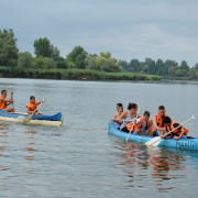 NID-6497_golyatabor283.JPG