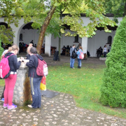 NID-6520_NID-6520_zarandoklat110.JPG
