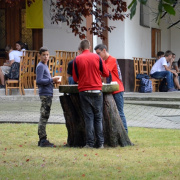 NID-6520_NID-6520_zarandoklat133.JPG