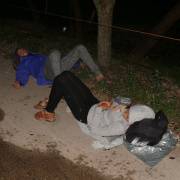 NID-6520_NID-6520_zarandoklat_50km12.JPG