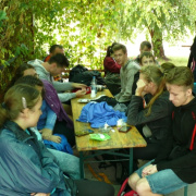 NID-6520_NID-6520_zarandoklat_50km15.JPG