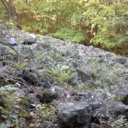 NID-6625_20151003_112804.jpg