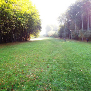 DSCF8893.JPG