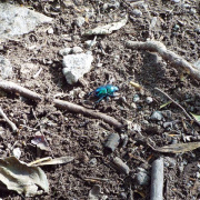 DSCF8913.JPG