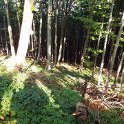DSCF8914.JPG