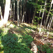 DSCF8915.JPG