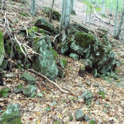 DSCF8917.JPG