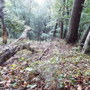 DSCF8918.JPG