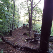DSCF8920.JPG