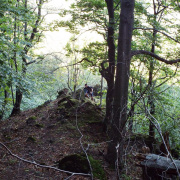 DSCF8921.JPG
