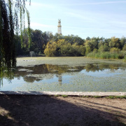 DSCF8924.JPG