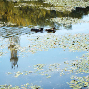 DSCF8926.JPG