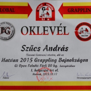 NID-6646_grappling_bajnoksag02.JPG