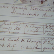 NID-6682_Csemegi_emlektabla068.JPG