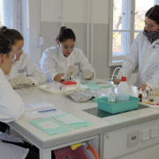 NID-6678_image033.jpg