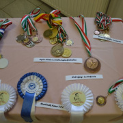 NID-6703_patr_sport084.jpg