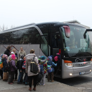 NID-6711_lovas_vilagkupa02.jpg