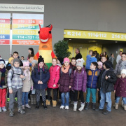 NID-6711_lovas_vilagkupa20.jpg