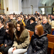 hamvazoszerda006.JPG