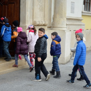 hamvazoszerda027.JPG