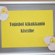 NID-6889_alsos_tanchaz010.JPG