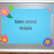 NID-6889_alsos_tanchaz012.JPG