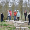 NID-6893_kirandulas_Bugacra79.JPG