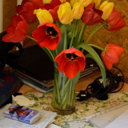 Kohary_verseny077.JPG