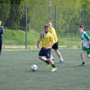 NID-6942_foci_kupa033.JPG