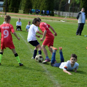 NID-6942_foci_kupa051.JPG