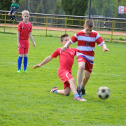 NID-6942_foci_kupa056.JPG