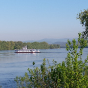 NID-6947_PIT_Vac08.jpg