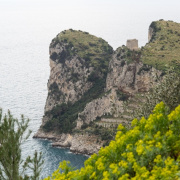 Napoly06.jpg