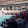 NID-6846_zarandoklat_Roma172.jpg